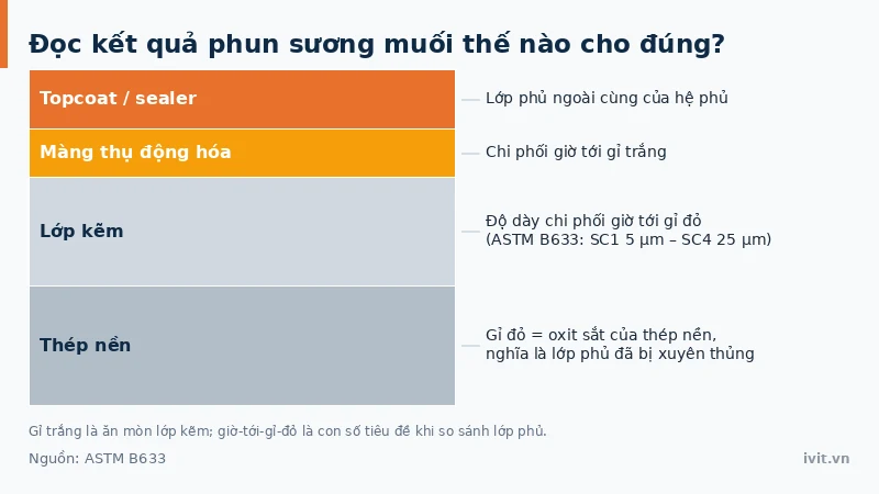 Mặt cắt hệ phủ kẽm gồm lớp kẽm, thụ động hóa và topcoat, ghi lớp nào chi phối giờ tới gỉ trắng và gỉ đỏ