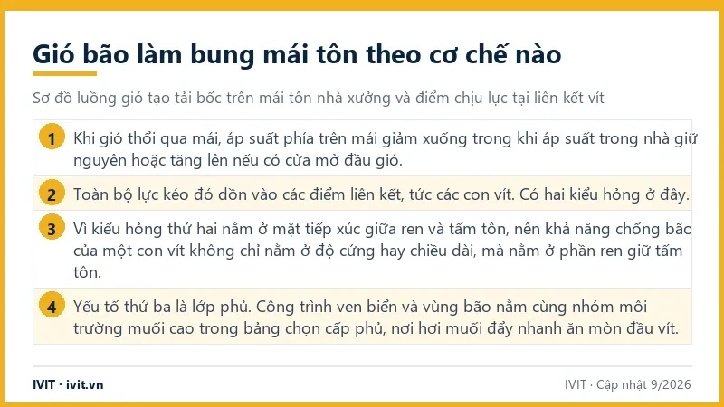 Infographic 4 ý về cơ chế gió bão làm bung mái tôn: chênh áp suất, lực dồn vào vít, ren giữ tôn và lớp phủ