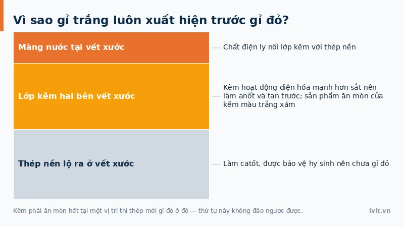 Mặt cắt vết xước trên lớp kẽm: kẽm hai bên tan ra trước nên thép nền chưa gỉ đỏ, gỉ trắng xuất hiện trước