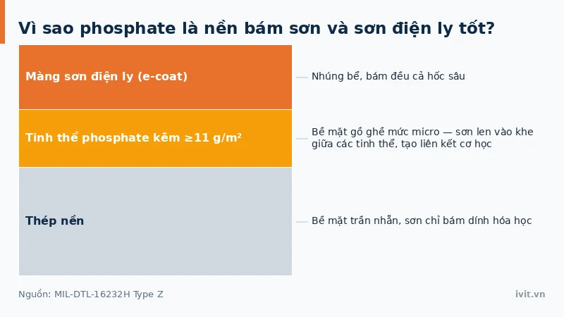 Hệ phosphate kẽm làm nền cho lớp sơn điện ly trên thép, sơn bám vào khe giữa các tinh thể