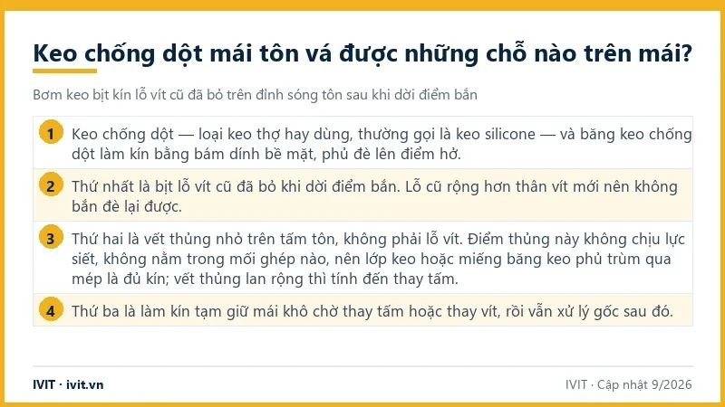 Infographic ba chỗ keo chống dột mái tôn vá được: bịt lỗ vít cũ, vá vết thủng nhỏ, làm kín tạm chờ thay vít