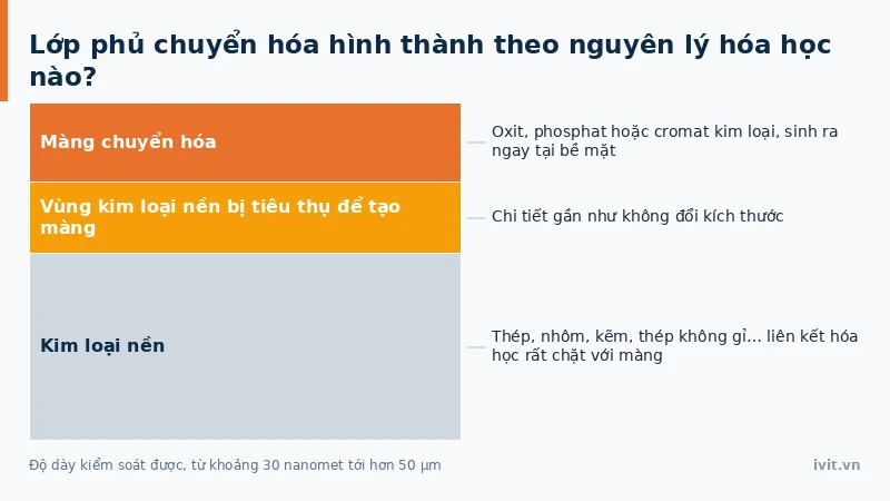 Vị trí lớp màng chuyển hóa sinh ra ngay trên bề mặt kim loại nền, không phải lớp phủ ngoài