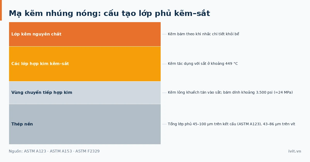 Mặt cắt lớp mạ kẽm nhúng nóng gồm các lớp hợp kim kẽm–sắt và lớp kẽm nguyên chất ngoài cùng trên thép nền