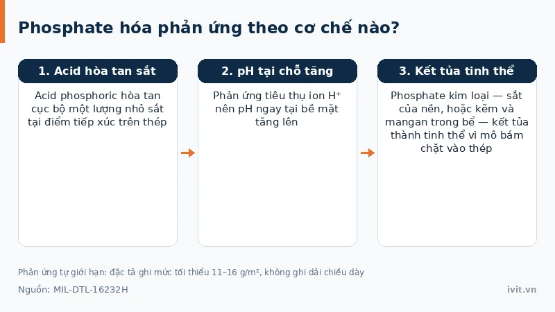 Sơ đồ phản ứng acid phosphoric ăn mòn cục bộ bề mặt thép rồi kết tủa tinh thể phosphate