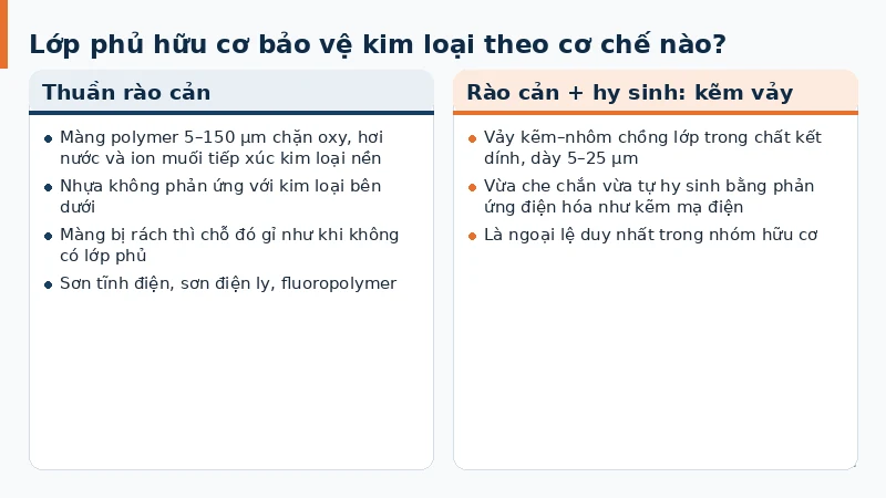 Hai thẻ đối chiếu lớp phủ hữu cơ thuần rào cản với kẽm vảy vừa rào cản vừa hy sinh