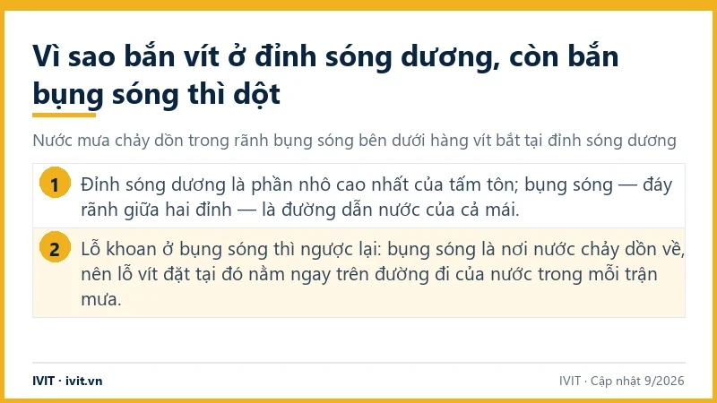 Infographic bắn vít đỉnh sóng hay bụng sóng: bụng sóng là đường dẫn nước, lỗ vít ở đó nằm trên dòng chảy