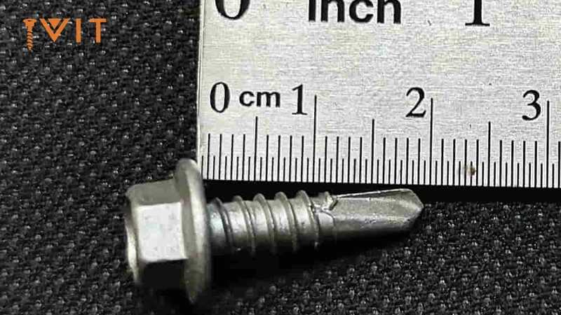 Vít bắn tôn 20mm ren đơn Sheh Fung kèm long đệm EPDM đặt cạnh thước inch và cm