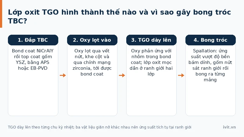 Vòng đời lớp phủ rào nhiệt TBC từ chế tạo tới khi bong tróc do lớp oxit TGO
